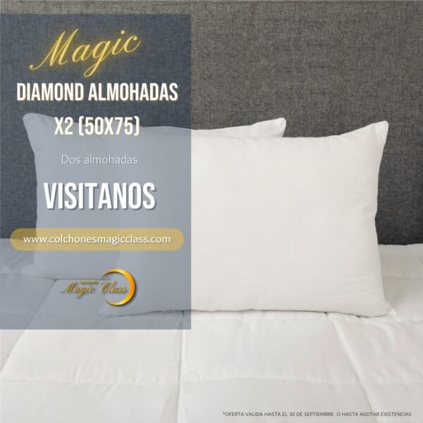 DIAMOND ALMOHADAS X2 (50X75) - Imagen 3
