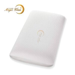 ALMOHADA MEMORY REST